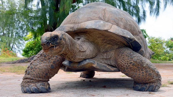 Сейшельские острова на яхте 22 Сейшельские острова на яхте 11