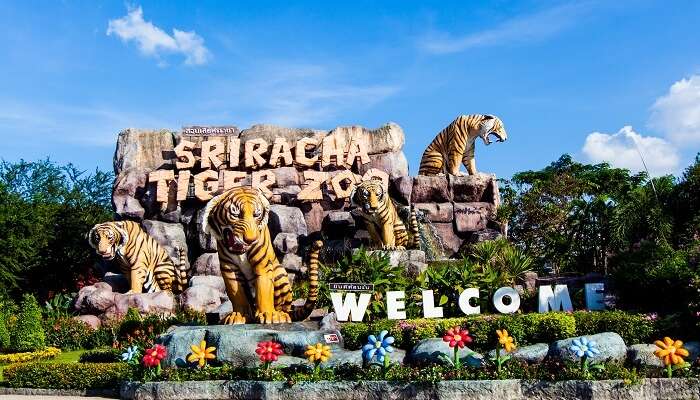 Вход в зоопарк Sriracha Tiger Zoo недалеко от Паттайи 1 Вход в зоопарк Sriracha Tiger Zoo недалеко от Паттайи
