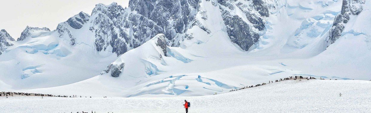 Человек посреди колонии пингвинов на обширном антарктическом пейзаже 11 Человек посреди колонии пингвинов на обширном антарктическом пейзаже