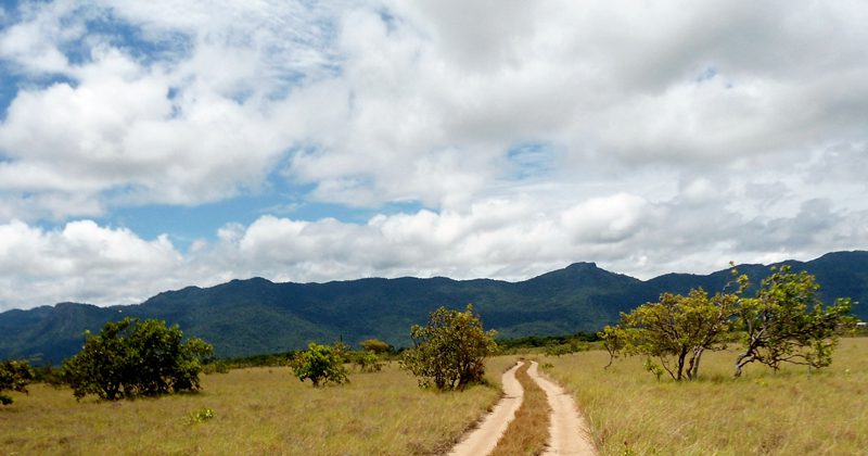 гайана гид-туры 1 гайана гид-туры