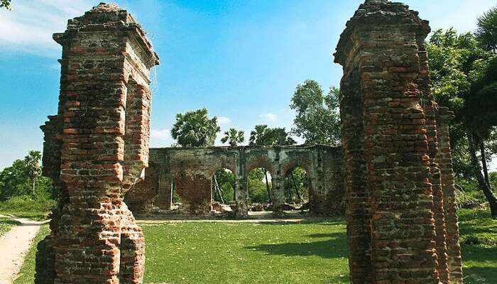 Арикамеду в Пондичерри 11 Арикамеду в Пондичерри