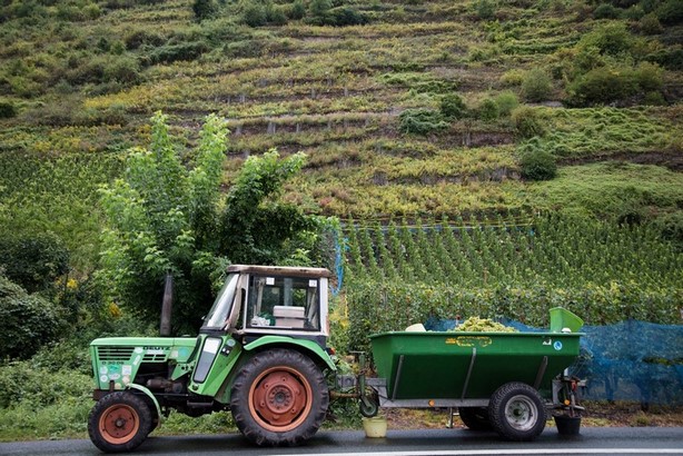 Как добраться до Бернкастель - взять трактор? 1 Как добраться до Бернкастель - взять трактор?