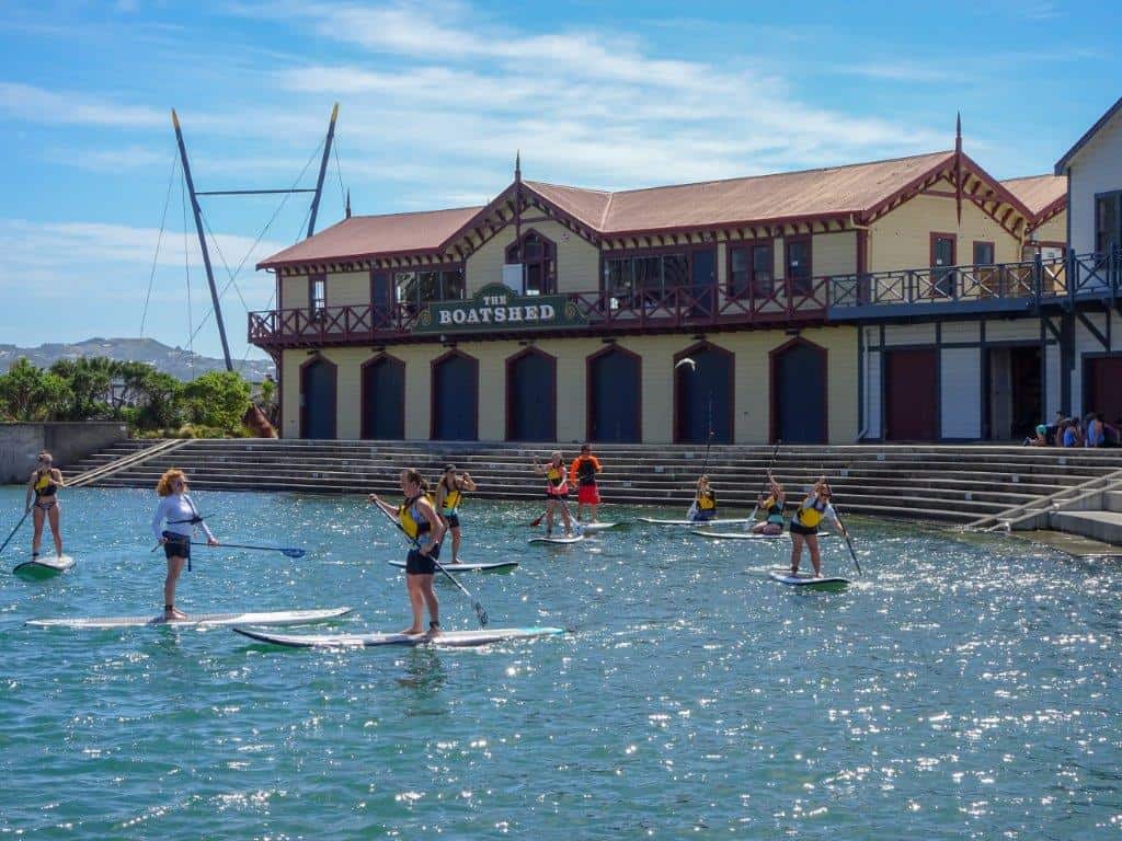 Paddleboard In The Harbour Чем заняться в Веллингтоне, Новая Зеландия 1 Паддлбординг в гавани Чем заняться в Веллингтоне, Новая Зеландия