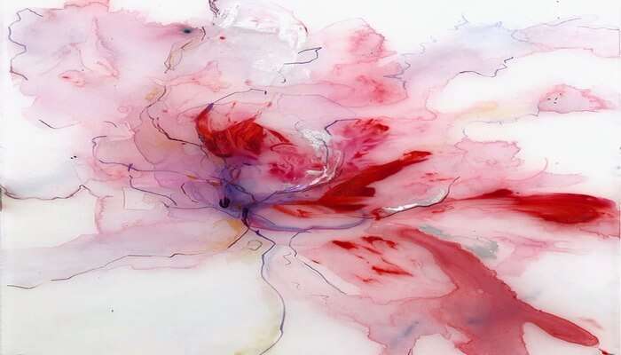 Галерея Камибаарт 1 Галерея Камибаарт