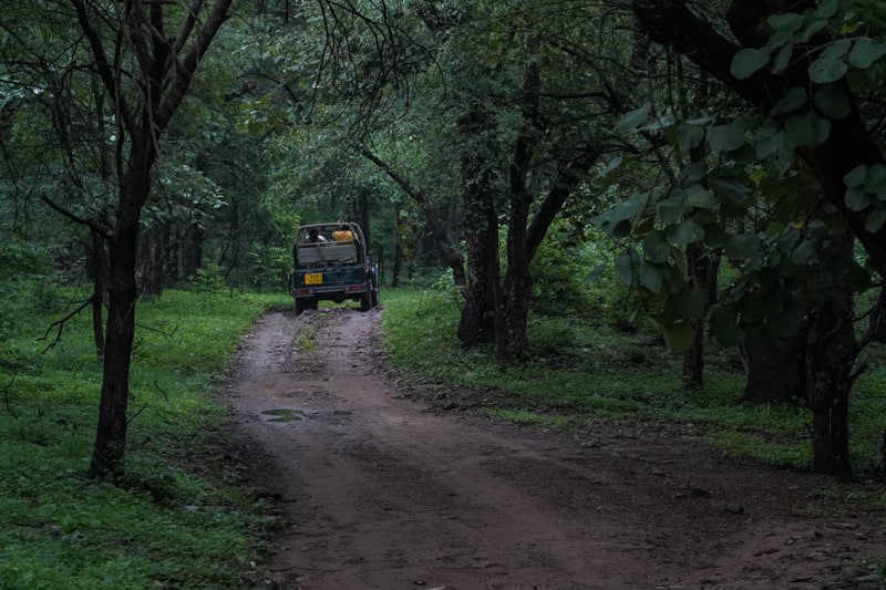 Ranthambhore Национальный Парк Рантхамбор 1 Ranthambhore Национальный Парк Рантхамбор