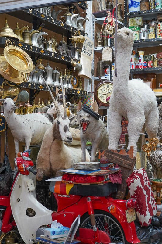 Один из немного более уникальны 11х магазинов в Souq al-Thumairi, а как насчет чучела козла или злого волка? Один из немного более уникальных магазинов в Souq al-Thumairi, а как насчет чучела козла или злого волка?