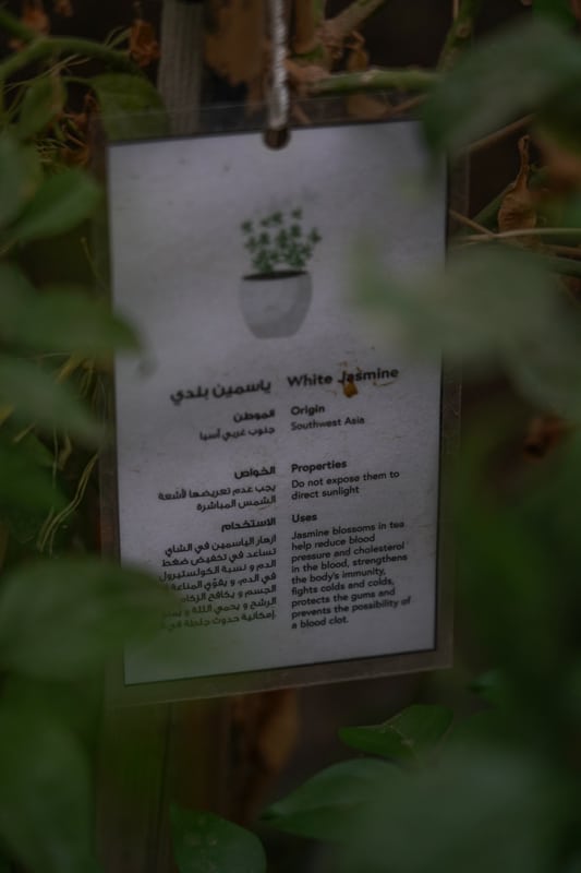 Аптека улица в Аль-Балад Джидда 44 Аптека улица в Аль-Балад Джидда 34