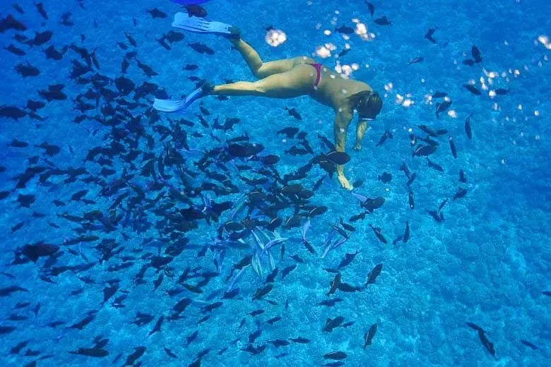 Гид плывет по Бора-Бора 1 Гид плывет по Бора-Бора