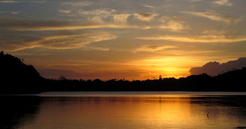 гайана гид-туры - Дэвид Стэнли31 гайана гид-туры - Дэвид Стэнли3