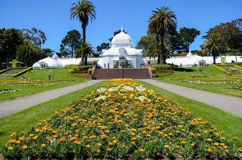 Golden Gate Park Где остановиться в Сан-Франциско? 11 Golden Gate Park Где остановиться в Сан-Франциско?