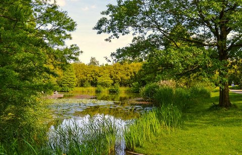 Planten un Blumen в Гамбург 1 Planten un Blumen в Гамбург