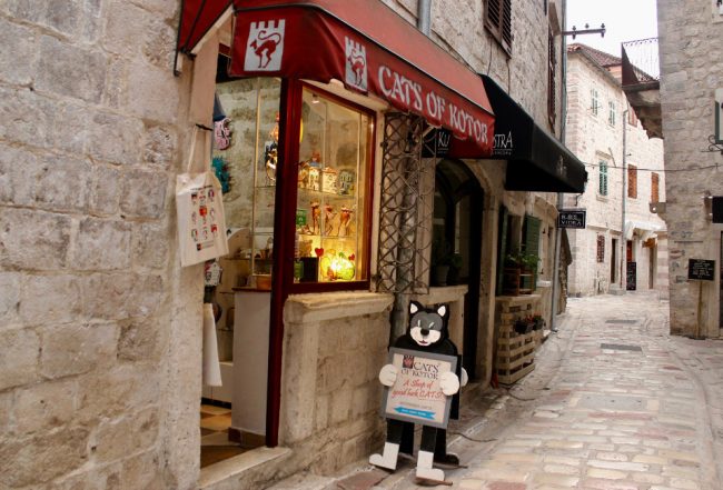 Кошки Котор, магазин подарков 111 Кошки Котор, магазин подарков