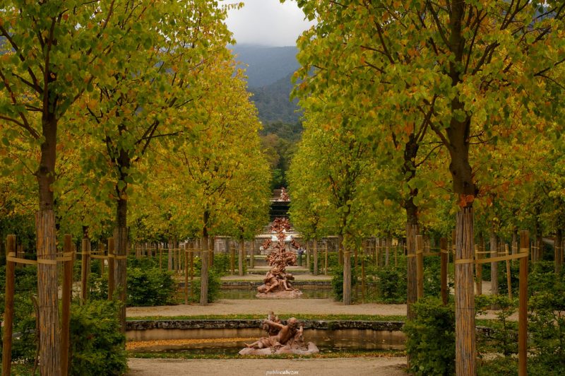 Хардинес-де-ла-Гранха-де-Сан-Ильдефонсо Большой Сеговия 1 Хардинес-де-ла-Гранха-де-Сан-Ильдефонсо