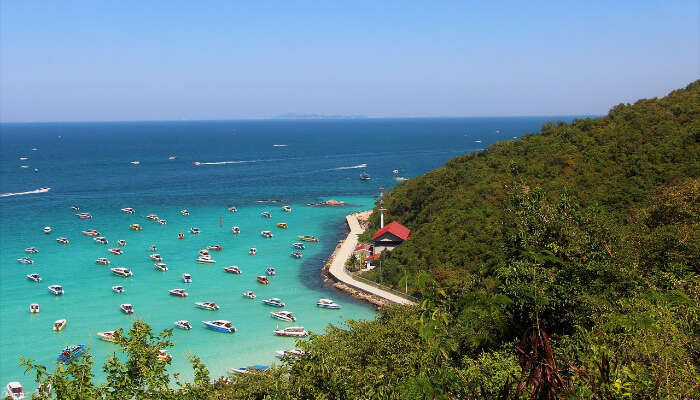 Коралловый остров Ко Лан 1 Коралловый остров Ко Лан