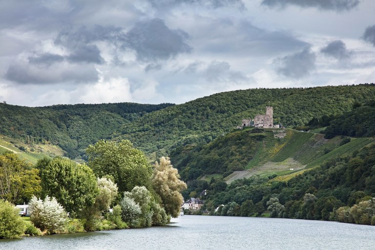 Чем заняться в районе Бернкастель - Круиз по реке Мозель 1 Чем заняться в районе Бернкастель - Круиз по реке Мозель
