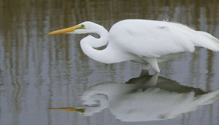 Озеро Оустери в Пондичерри 11 Озеро Оустери в Пондичерри