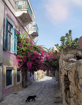 Площадь Мяоули, Сирос 11 Площадь Мяоули, Сирос Места в Греции где отдыхают знаменитости