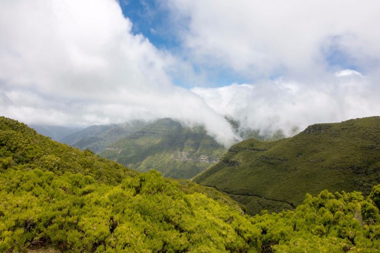 сочные-зеленые-горы-среди-облаков-поль-да-серра 1 сочные-зеленые-горы-среди-облаков-поль-да-серра