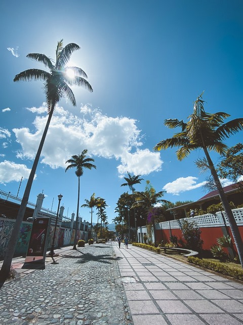 Калифорнийский бульвар в Сан-Хосе, Коста-Рика 1 Калифорнийский бульвар в Сан-Хосе, Коста-Рика