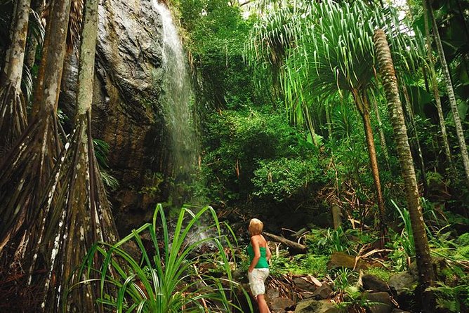 Национальный парк Валле-де-Май marison  Национальный парк Валле-де-Май Факты о Сейшельских островах