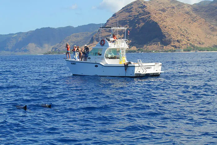 Экскурсии по Wild Side 1 Экскурсии по Wild Side