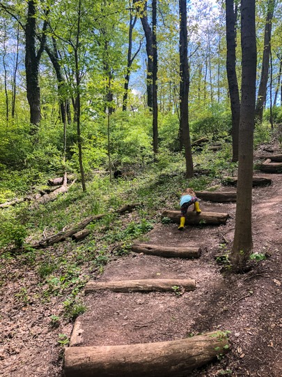 Олт Парк 111 Олт Парк