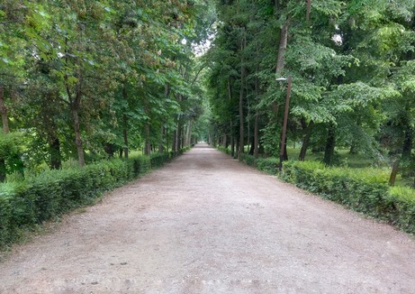 Parco Cascine, Флоренция 1 Parco Cascine, Флоренция.