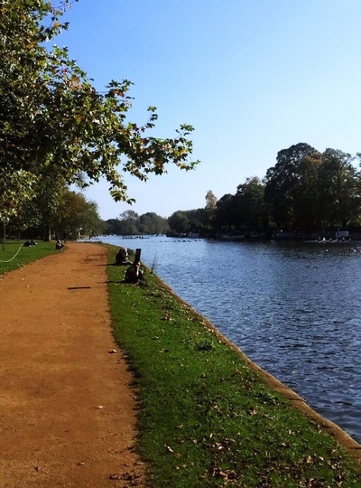 Крайст-Черч Луга 11 Крайст-Черч Луга