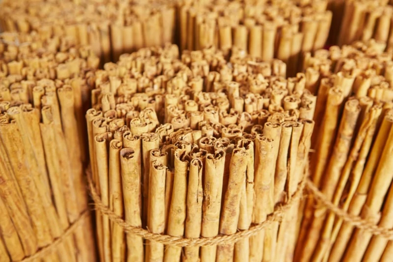 палочки из корицы Факты о Шри-Ланке 11 палочки из корицы Факты о Шри-Ланке