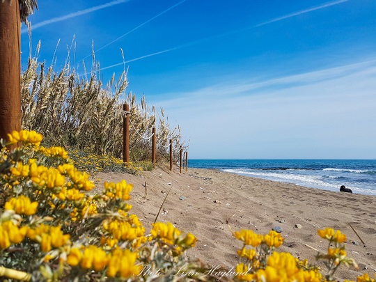 Пляж Коста дель Соль зимой 1 Пляж Коста дель Соль зимой