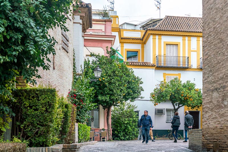 Севилья бесплатные туры 1 Севилья бесплатные туры