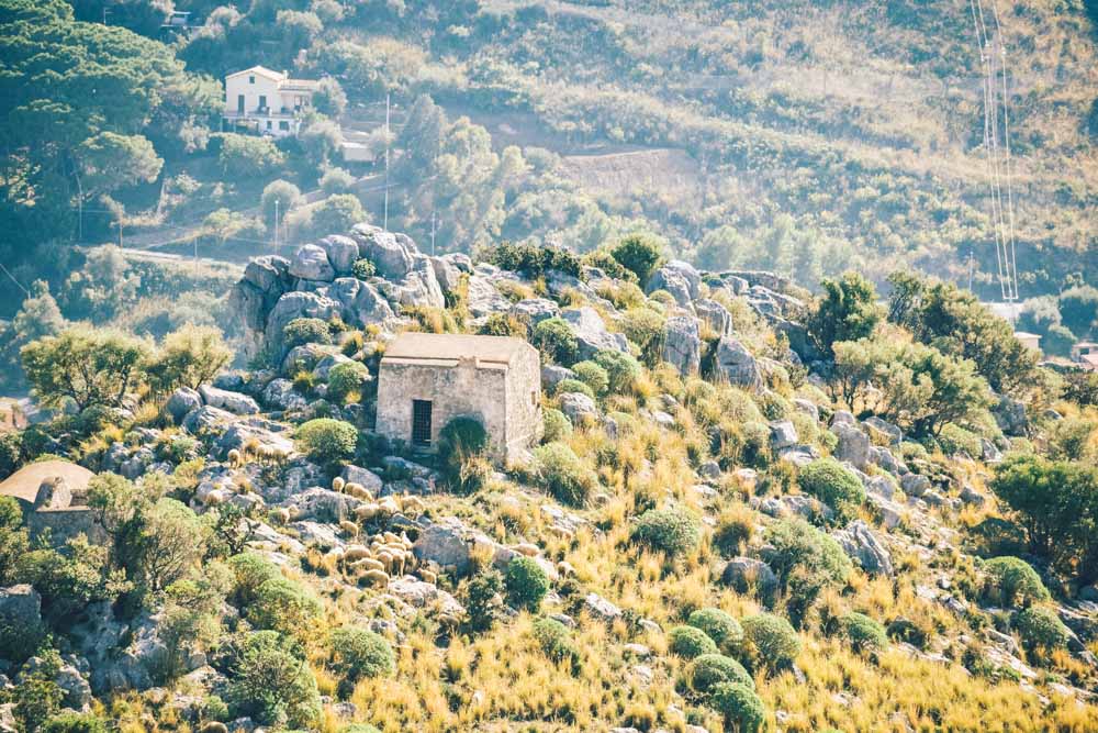 Однодневные Поездки из Палермо 111 Однодневные Поездки из Палермо