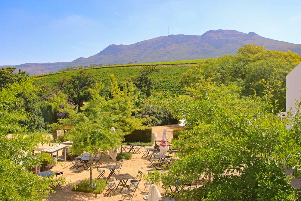 Проверьте винодельческое хозяйство Groot Constantia на 2 дня поездки в Кейптаун 111 Проверьте винодельческое хозяйство Groot Constantia на 2 дня поездки в Кейптаун