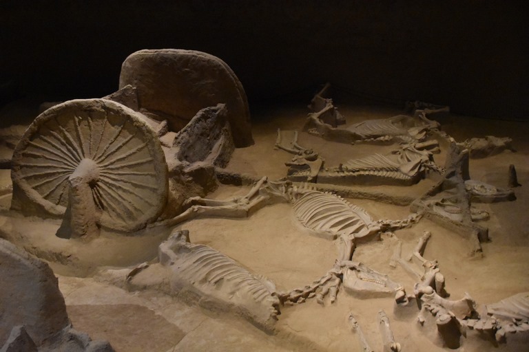 Музей Лошади и Колесницы Лоян 111 Музей Лошади и Колесницы Лоян