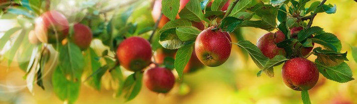 факты об Казахстане 21