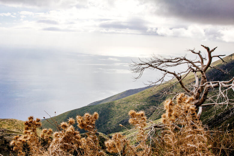 Горный перевал Логара Путеводитель по Албании 11 Горный перевал Логара Путеводитель по Албании