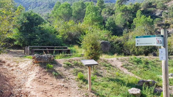 пикник monistrol 1 пикник monistrol