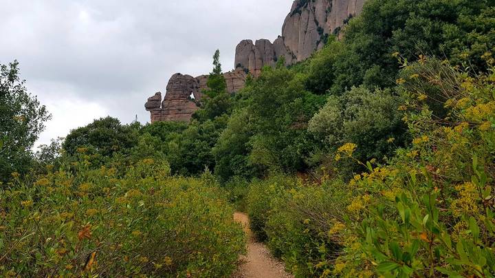 Трек по иглам Монсеррат 1 Трек по иглам Монсеррат