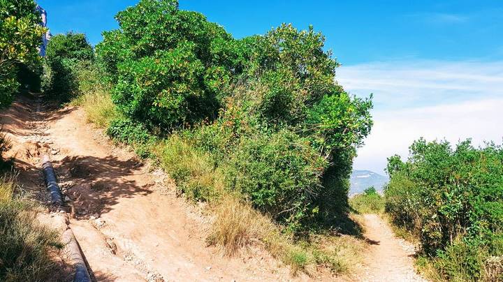 вилка для трубок montserrat 1 вилка для трубок montserrat