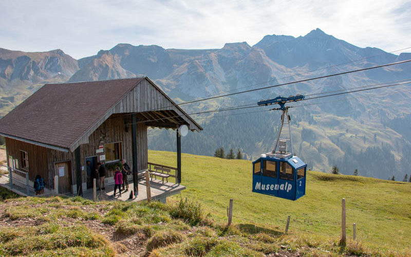 Musenalp. Канатные дороги в Швейцарии 11 Musenalp. Канатные дороги в Швейцарии