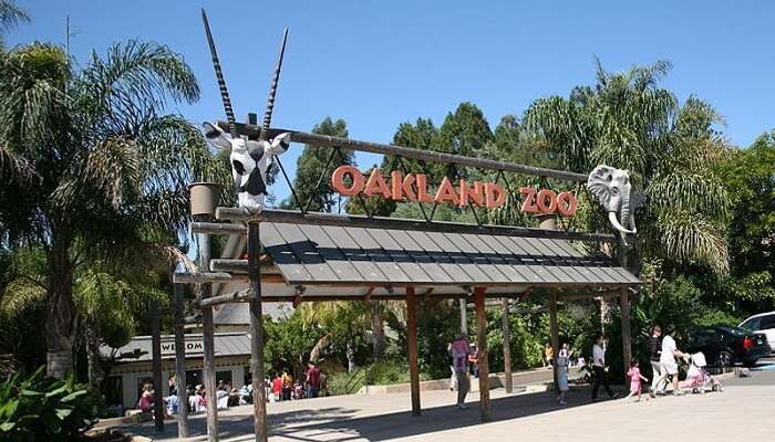Оклендский зоопарк 1 Оклендский зоопарк