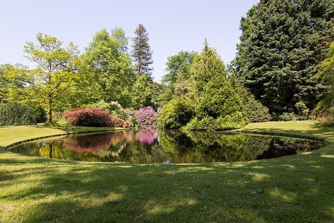 Дендрарий Ботанического сада Тромпенбурга. 11 Дендрарий Ботанического сада Тромпенбурга.