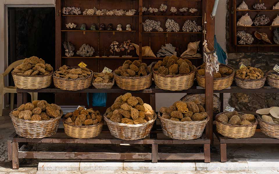 НАТУРАЛЬНЫЕ ГУБКИ. СИМИ. 11 НАТУРАЛЬНЫЕ ГУБКИ. СИМИ.