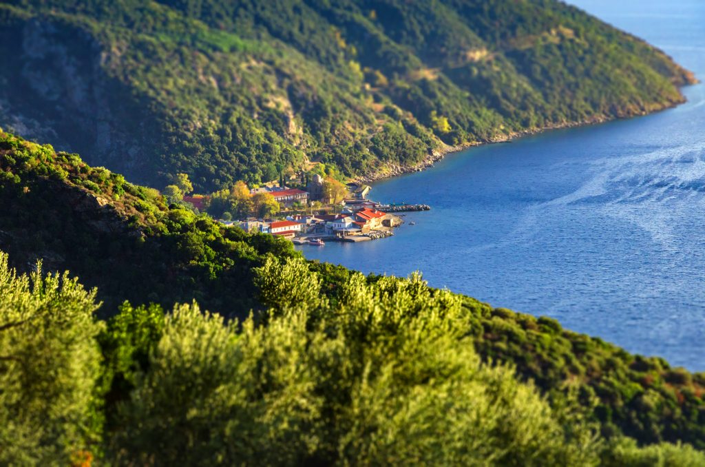 Центральный порт Дафни 1 Центральный порт Дафни