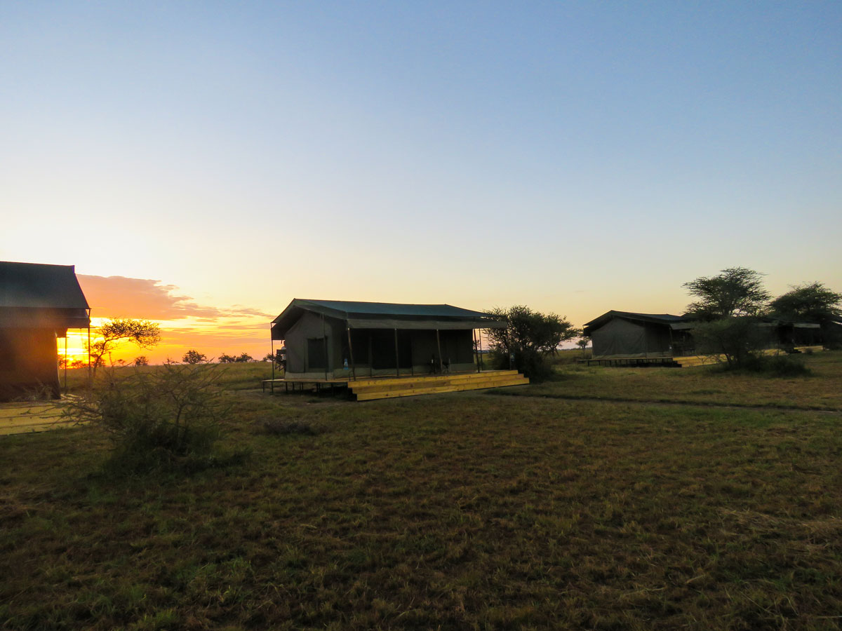 Cафари в Танзании. 3 1 Cафари в Танзании. 3