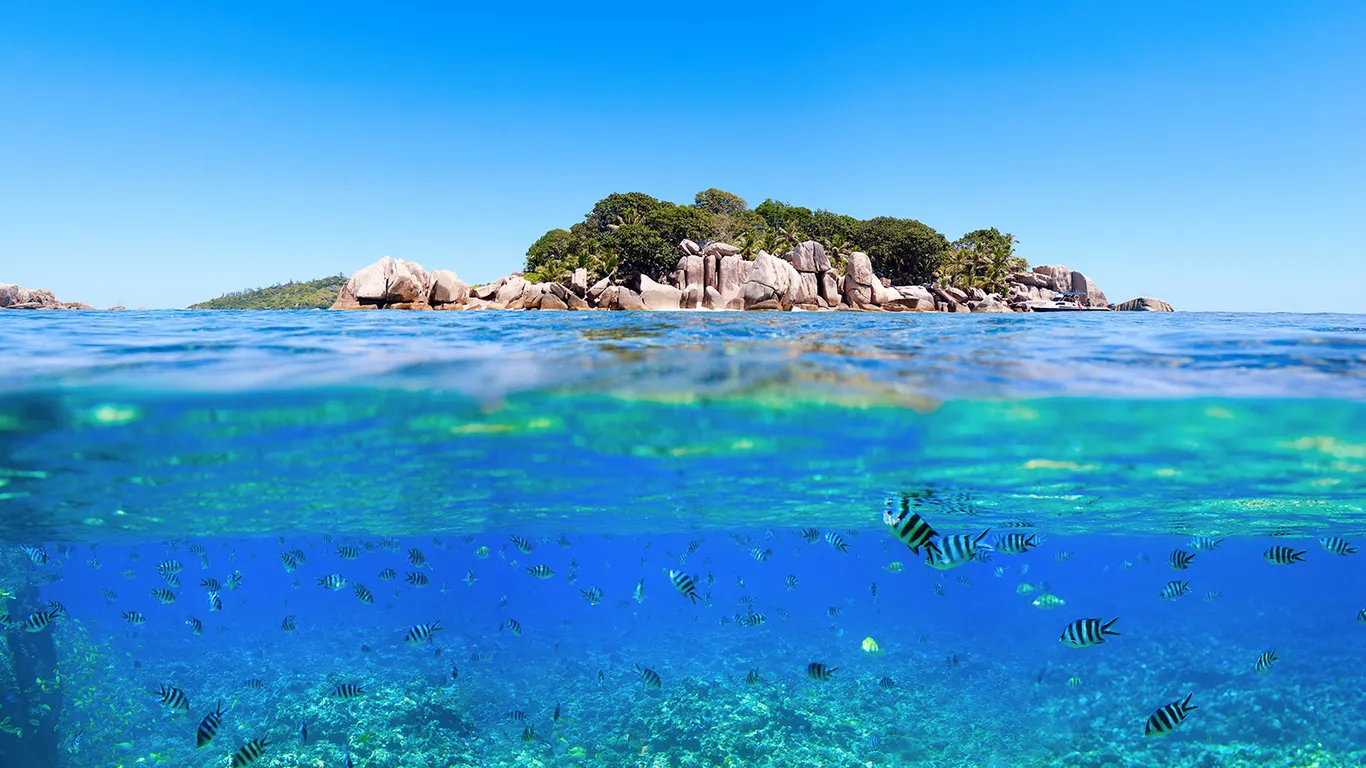 Побалуйте себя сноркелингом и обедом из морепродуктов 11 Побалуйте себя сноркелингом и обедом из морепродуктов