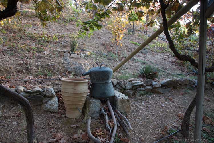 туры на крит в октябре 11 туры на крит в октябре