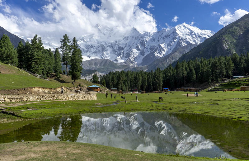 туры в лагерь пакистанских сказочных лугов 11 туры в лагерь пакистанских сказочных лугов