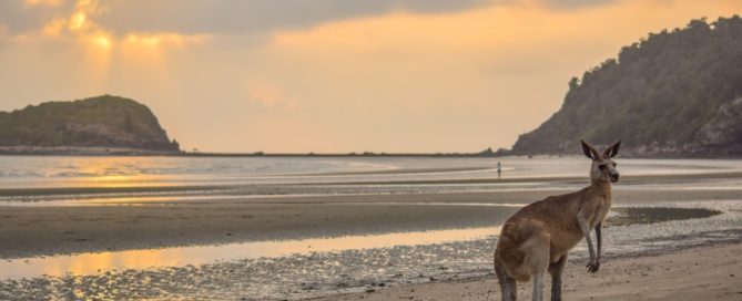 Маккае (Австралия)